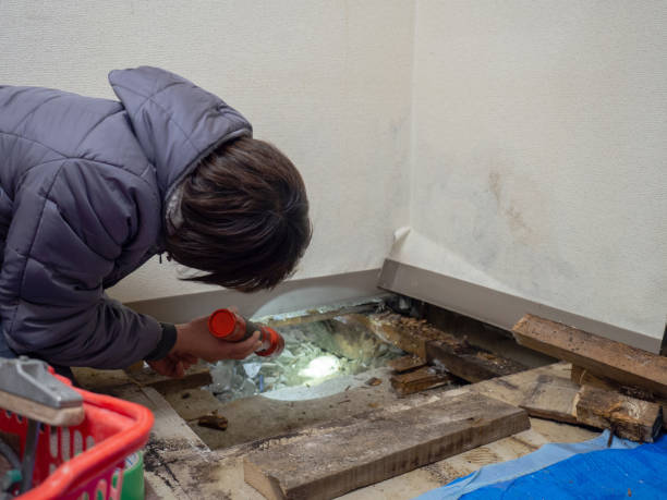 Best Airborne Mold Testing  in Kewaskum, WI