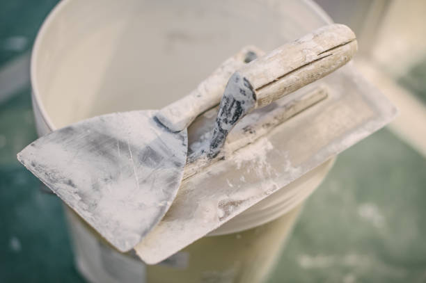 Best Mold Remediation for Healthcare Facilities  in Kewaskum, WI