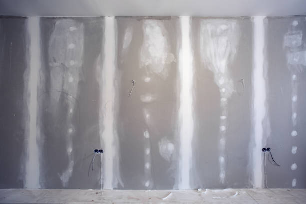Best Air Quality Testing for Mold Spores  in Kewaskum, WI